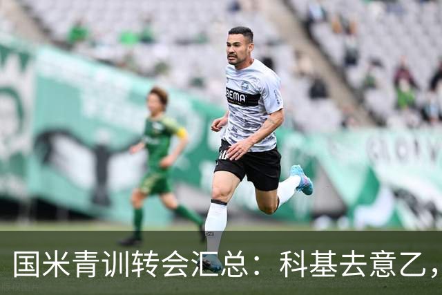 国米青训转会汇总：科基去意乙，亚历克西乌去国外，卡马特套现